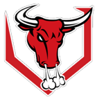 Bull City Little League
